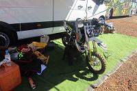 IMG_2329 